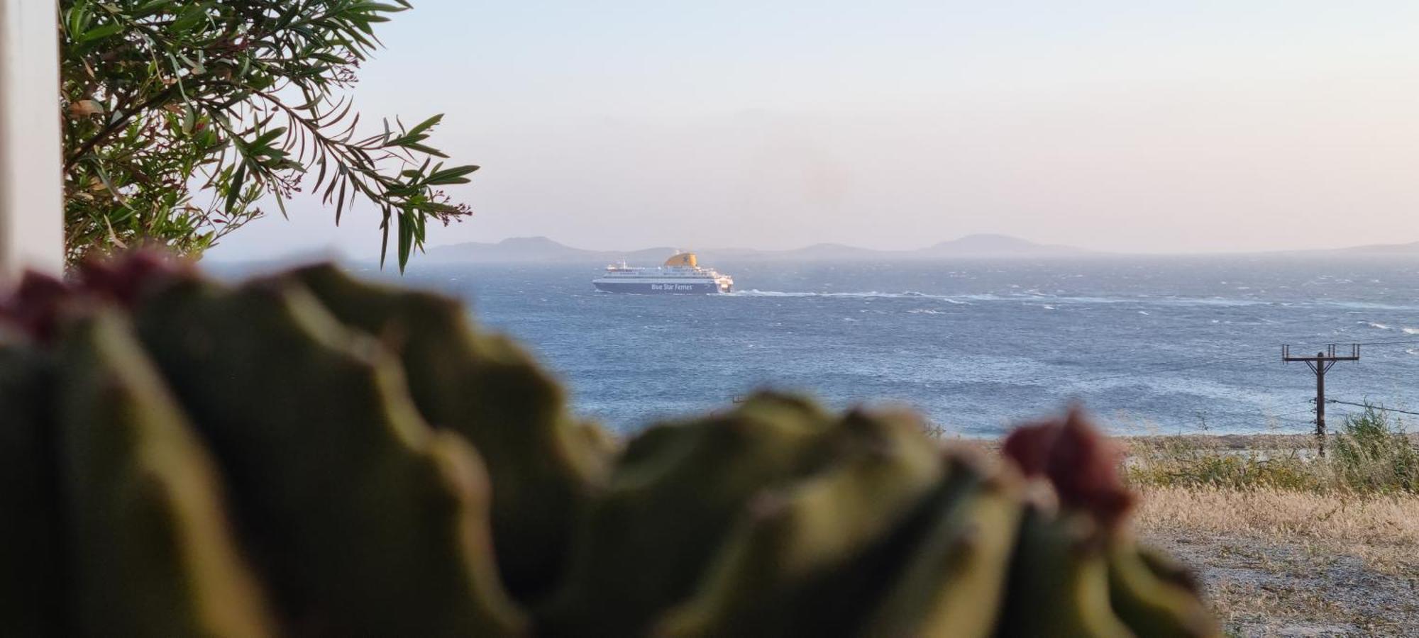 דירה Blue Serenity View Houlakia (Mykonos)